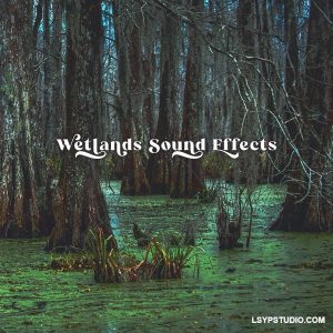 湿地音效：感受沼泽与生机勃勃的动物世界Close to Nature Music Ensemble Wetlands Sound Effects [FLAC]-乐声音频-资源网