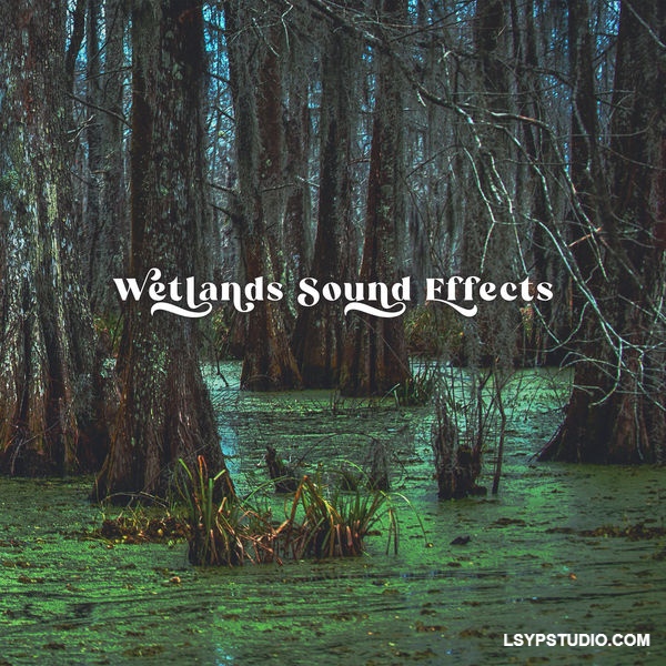 湿地音效：感受沼泽与生机勃勃的动物世界Close to Nature Music Ensemble Wetlands Sound Effects [FLAC]-乐声音频-资源网