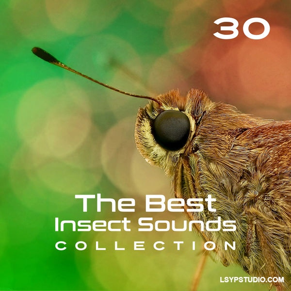 从蝉鸣到蟋蟀的鸣叫，应有尽有Close To Nature Music Ensemble 30 The Best Insect Sounds Collection Fly with Creature, Sound Effects, Magic Library FLAC-FANTASTiC-乐声音频-资源网