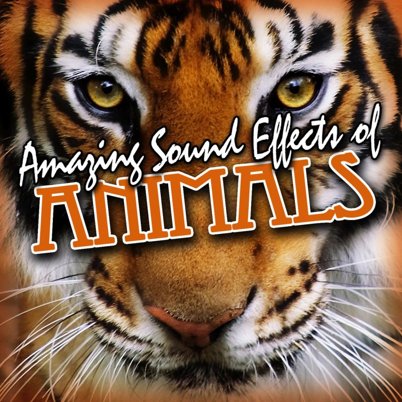 动物奇妙音效SoundFx Amazing Sound Effects of Animals [FLAC]-乐声音频-资源网