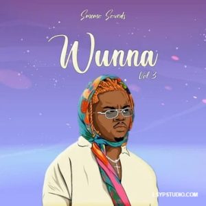 现代 Trap/Hip-Hop 音频采样包 SMEMO Sounds Wunna Vol 3 WAV MIDI-FANTASTiC-乐声音频-资源网