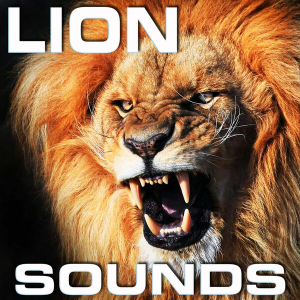 狮子之声Cloud Nine Records Lion Sounds [FLAC]-乐声音频-资源网