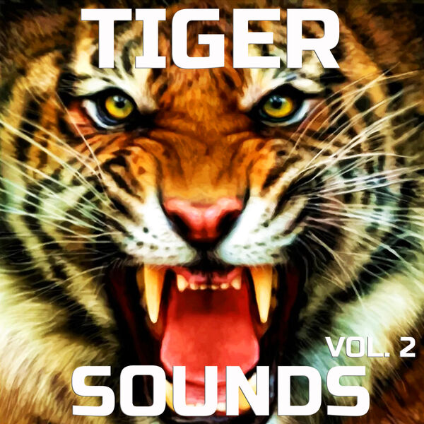 老虎之声，第二辑Tiger Sounds Tiger Sounds Vol.2 [FLAC]-乐声音频-资源网