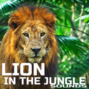 图片[1]-丛林雄狮之声Cloud Nine Records Lion In The Jungle Sounds [FLAC]-乐声音频-资源网