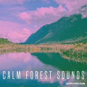 电影级自然声效库Rest and Relax Nature Sounds Calm Forest Sounds FLAC-FANTASTiC-乐声音频-资源网