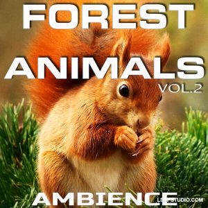 森林动物氛围音乐，第二辑Animals Nature Sounds Forest Animals Ambience Vol.2 [FLAC]-乐声音频-资源网