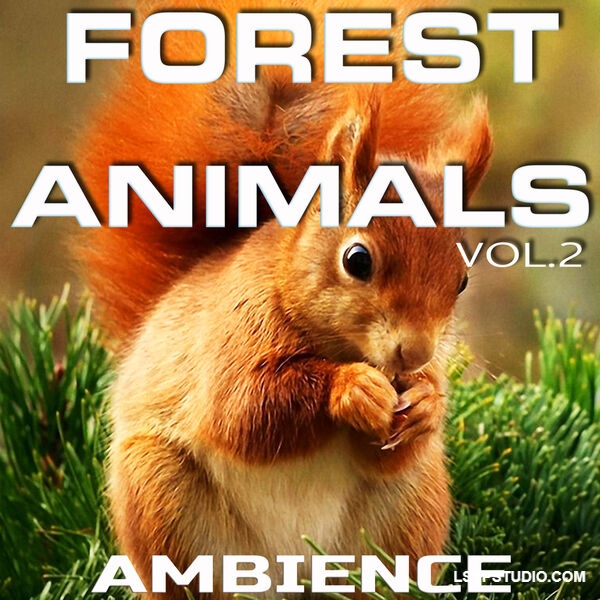 森林动物氛围音乐，第二辑Animals Nature Sounds Forest Animals Ambience Vol.2 [FLAC]-乐声音频-资源网