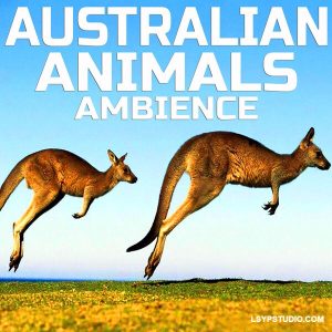 澳大利亚动物氛围音乐Cloud Nine Records Australian Animals Ambience [FLAC]-乐声音频-资源网