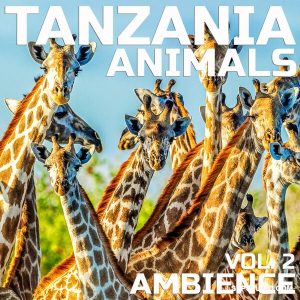 坦桑尼亚动物氛围Cloud Nine Records Tanzania Animals Ambience Vol.2 [FLAC]-乐声音频-资源网