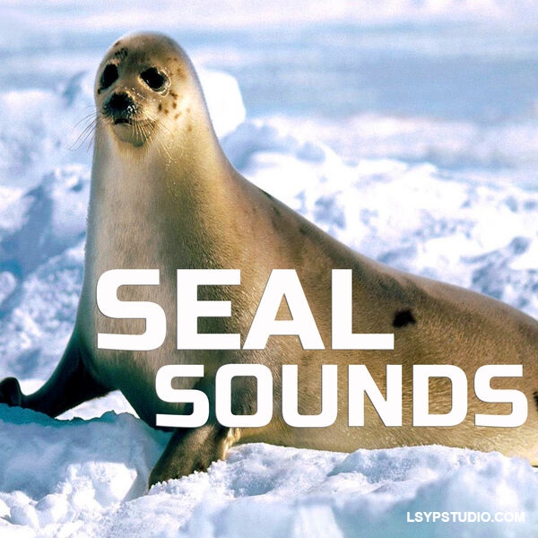 海豹之声Cloud Nine Records Seal Sounds [FLAC]-乐声音频-资源网