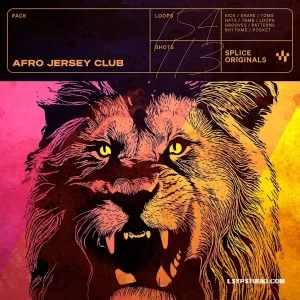 将美式街头新泽西俱乐部舞曲(Jersey Club)与西非传统原声乐器进行了颠覆性的跨界融合Splice Originals Afro Jersey Club WAV-FANTASTiC-乐声音频-资源网
