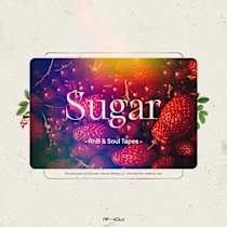 Renraku Sugar Rnb And Soul Tapes WAV-FANTASTiC-乐声音频-资源网