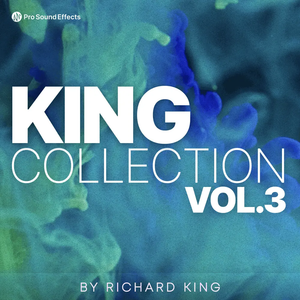图片[1]-世界级通用音效库Pro Sound Effects King Collection Vol.3 FLAC-FANTASTiC-乐声音频-资源网