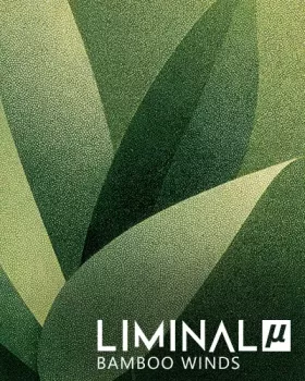 竹笛纹理采样库Crocus Soundware Liminal µ: Bamboo Winds KONTAKT-乐声音频-资源网