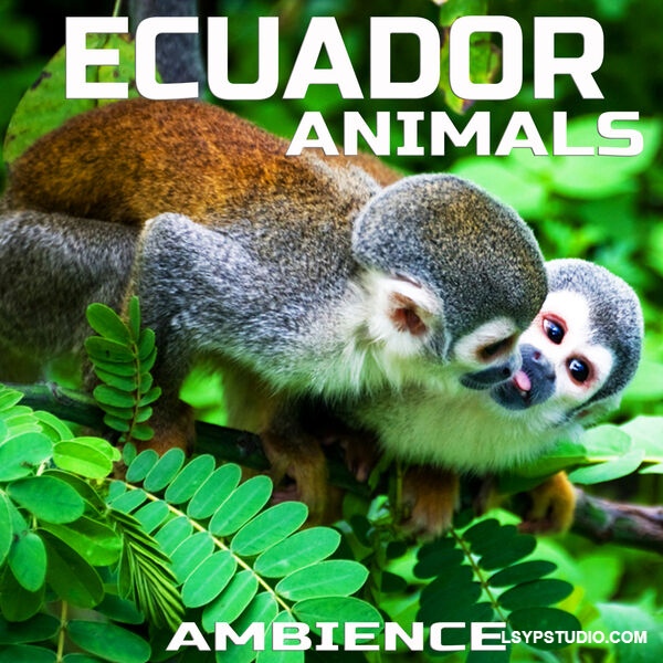 Cloud Nine Records Ecuador Animals Ambience [FLAC]-乐声音频-资源网