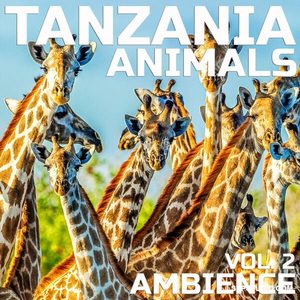 坦桑尼亚动物氛围，第二辑Cloud Nine Records Tanzania Animals Ambience Vol.2 [FLAC]-乐声音频-资源网
