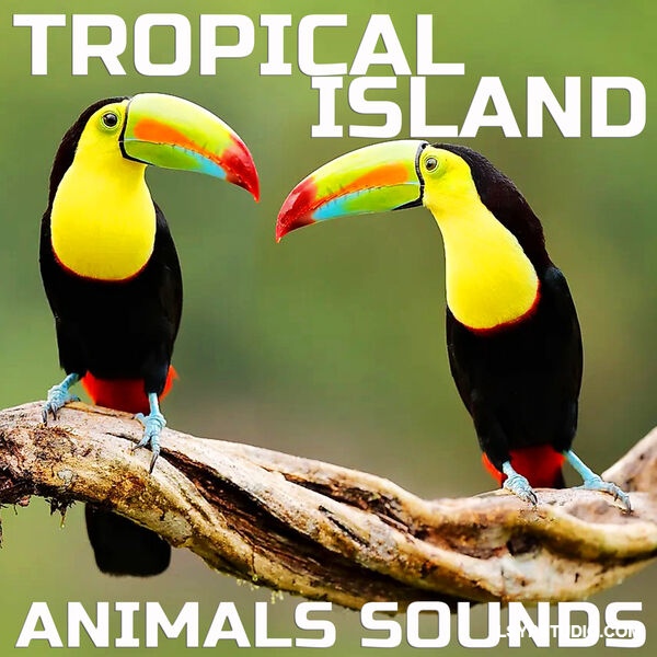 热带岛屿动物之声Cloud Nine Records Tropical Island Animals Sounds [FLAC]-乐声音频-资源网