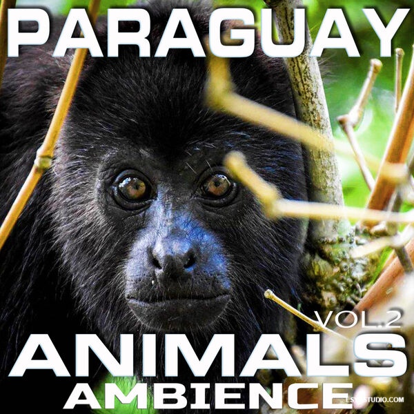 Animal Planet FX Paraguay Animals Ambience Vol.2 [FLAC]-乐声音频-资源网